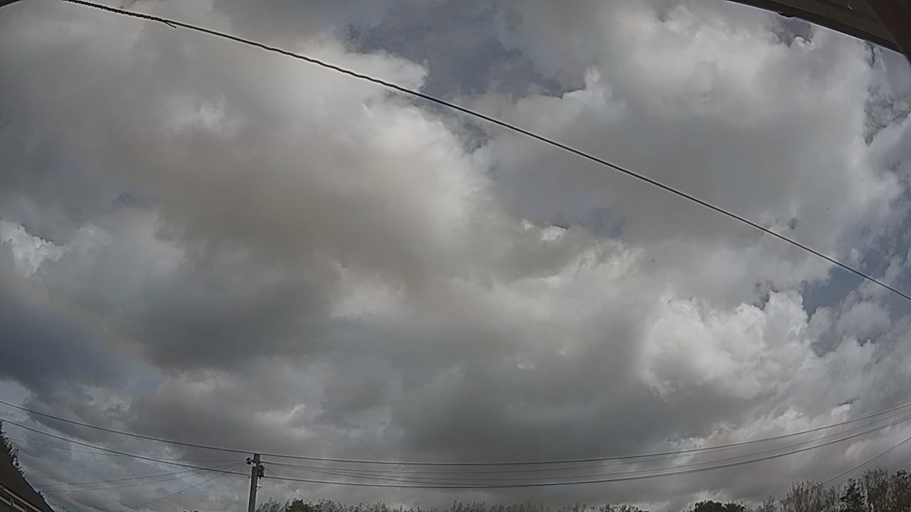 20260901_110300_cam2.jpg