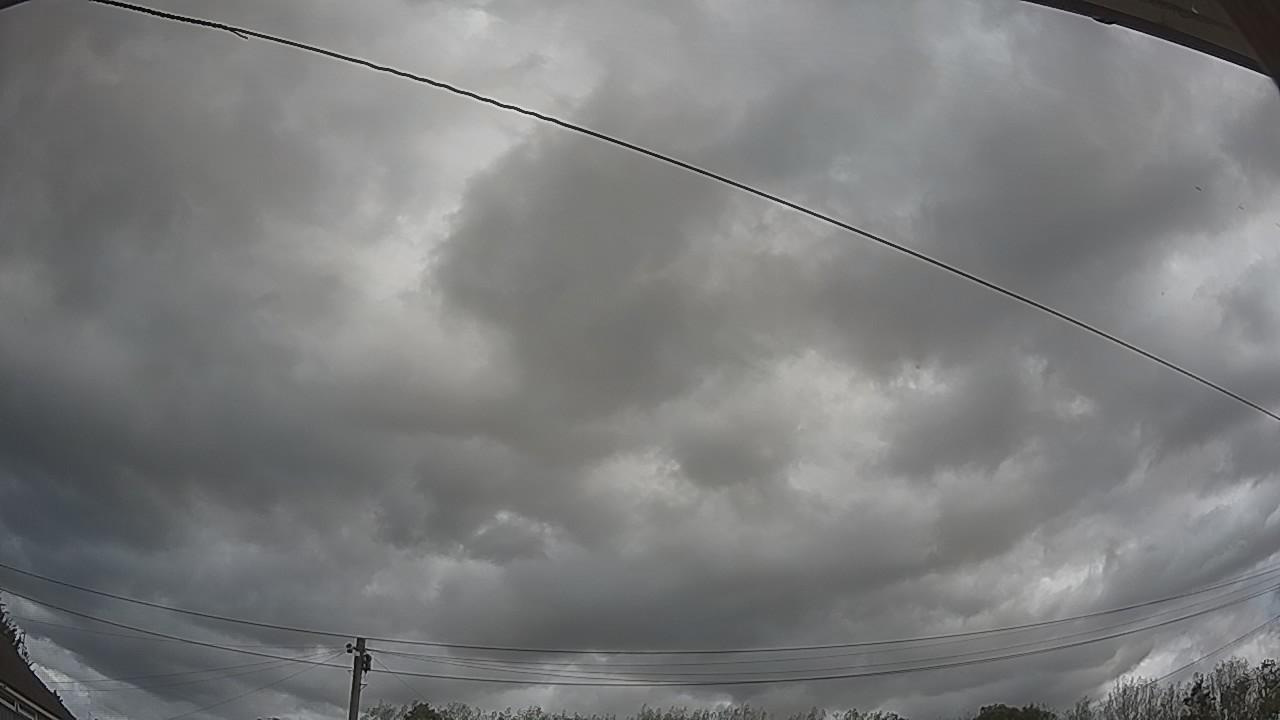 20260901_113001_cam2.jpg