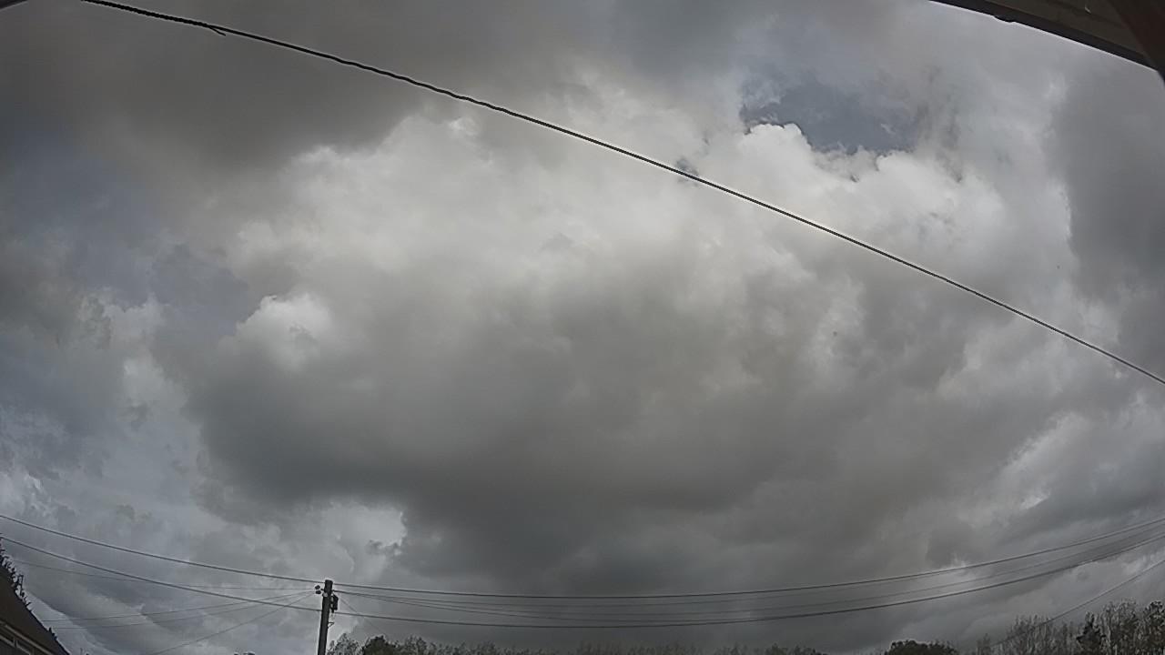 20260901_113631_cam2.jpg