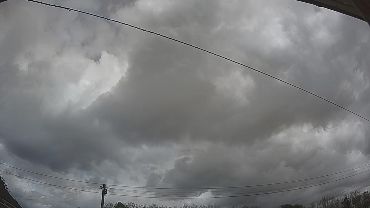 20260901_113946_cam2.jpg