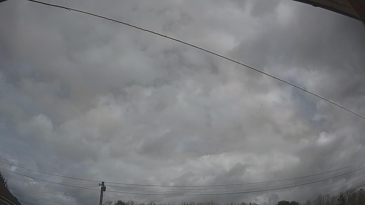 20260901_114616_cam2.jpg