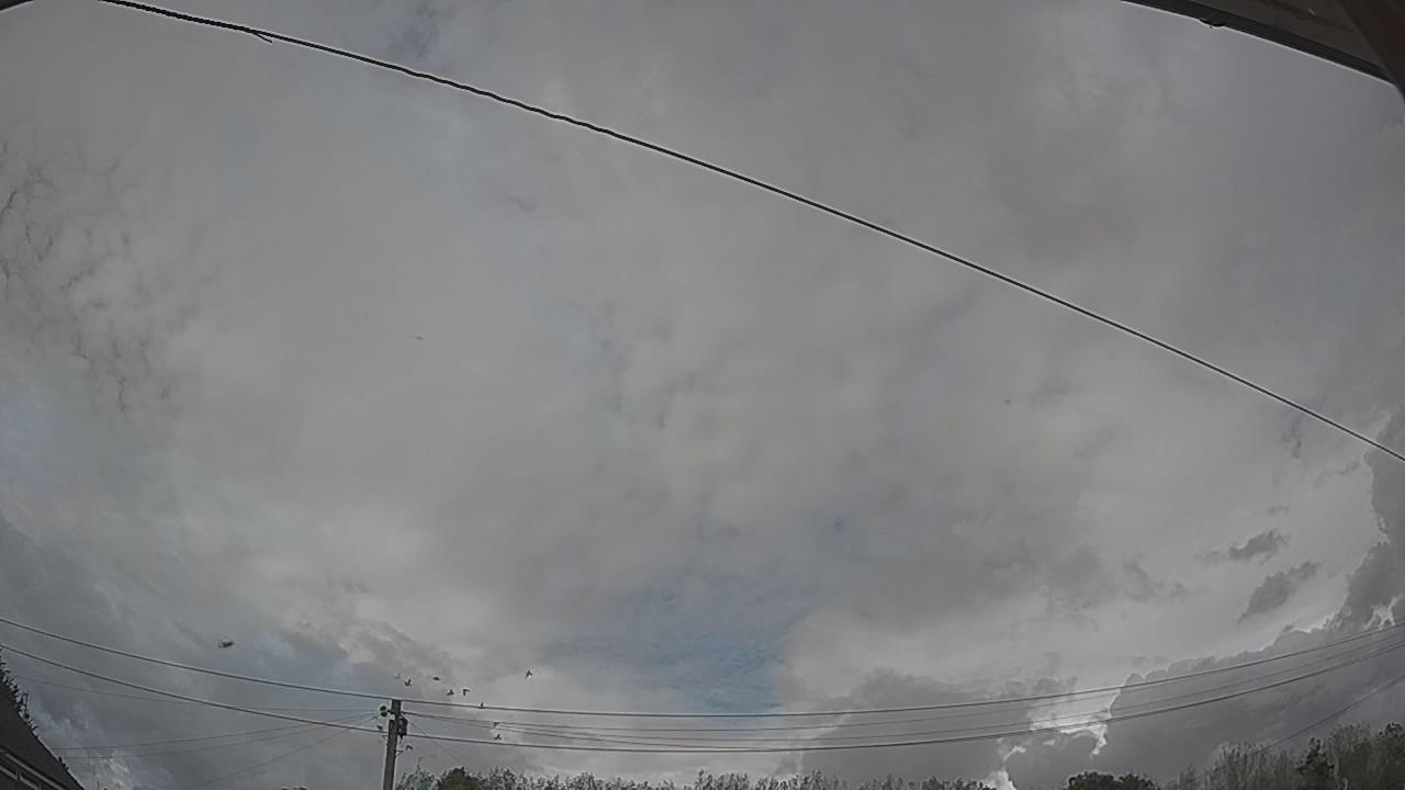 20260901_160656_cam2.jpg