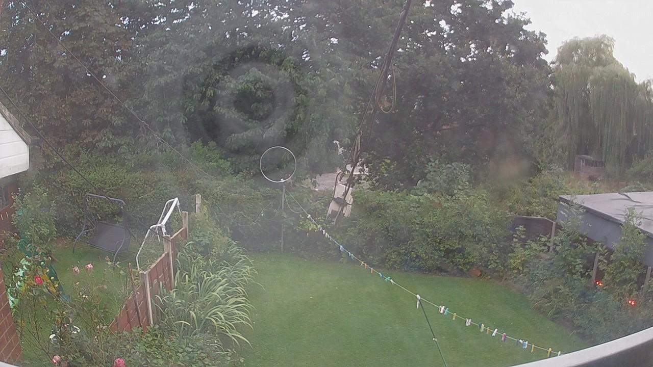20260901_184455_cam1.jpg