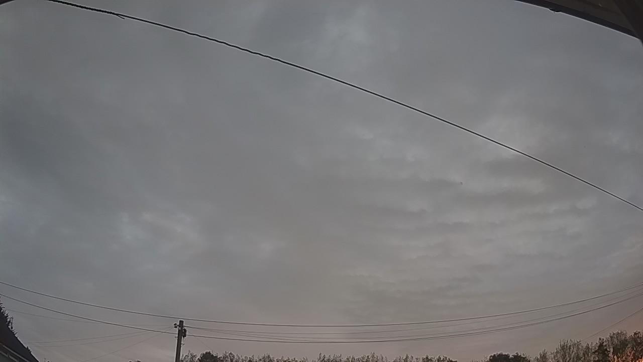20260902_051303_cam2.jpg