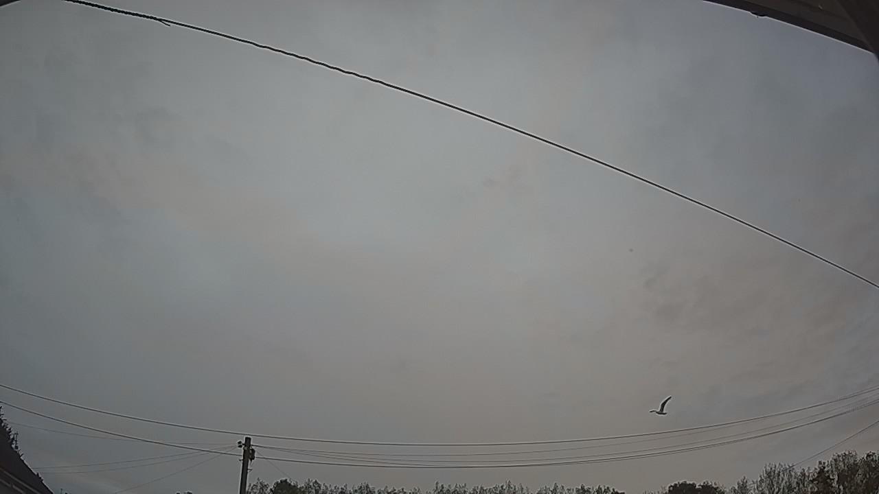 20260902_055734_cam2.jpg
