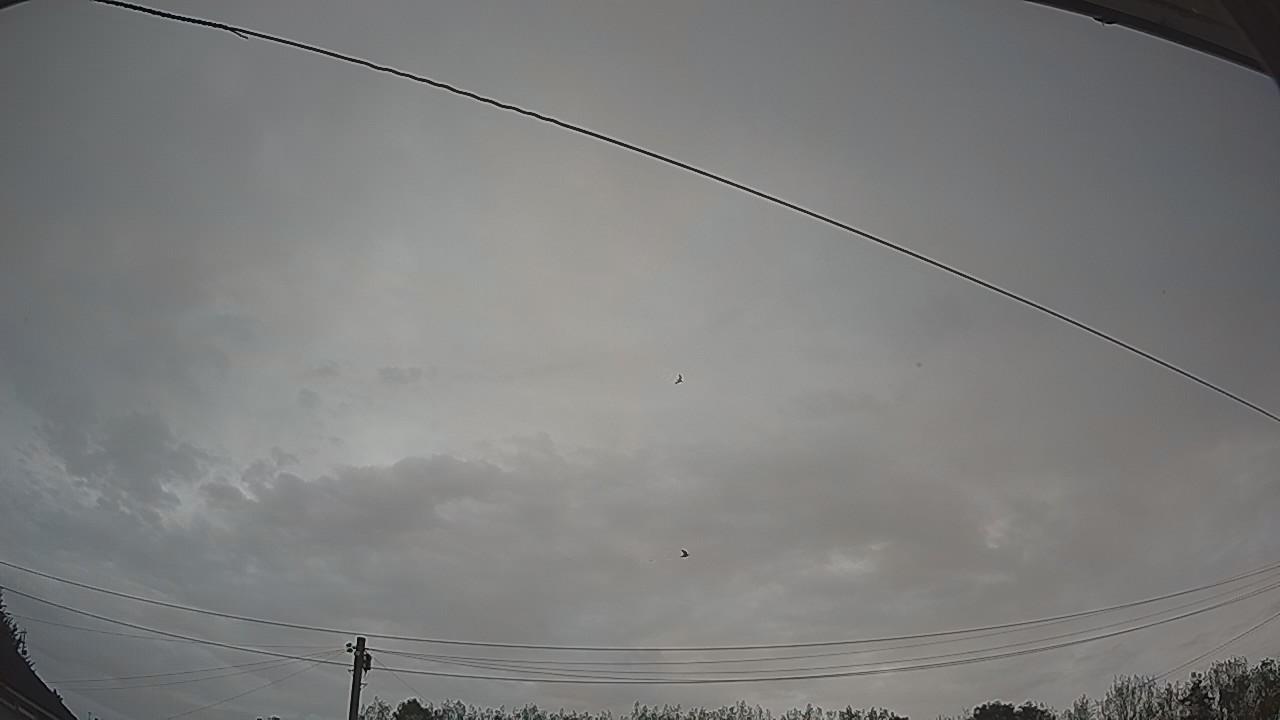 20260902_061521_cam2.jpg