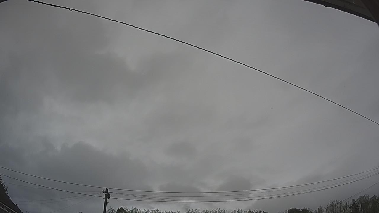 20260902_131039_cam2.jpg