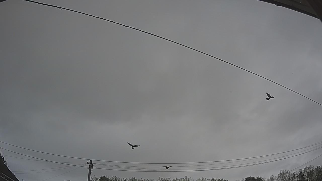 20260902_162439_cam2.jpg