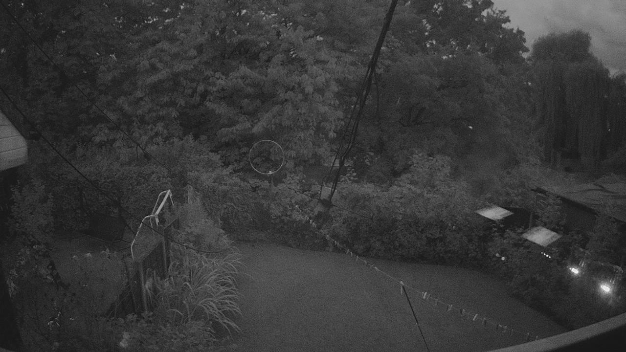 20260902_192931_cam1.jpg