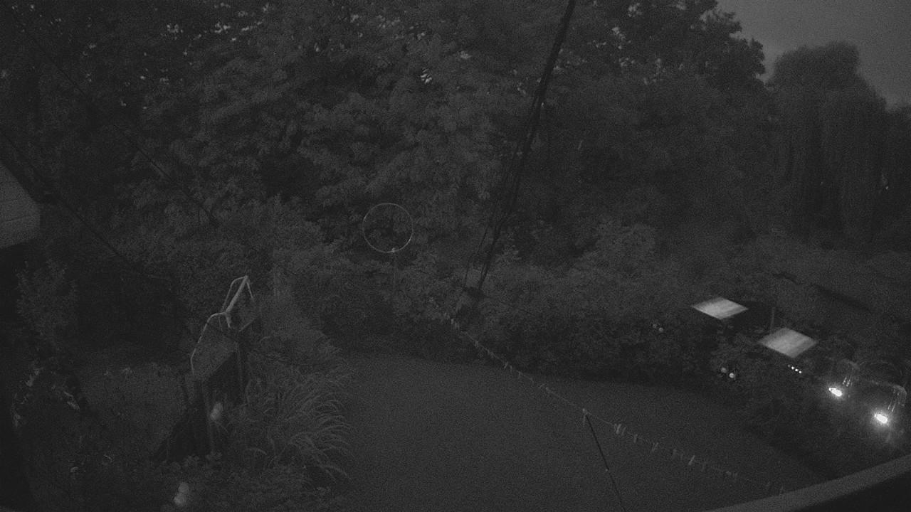 20260903_044710_cam1.jpg