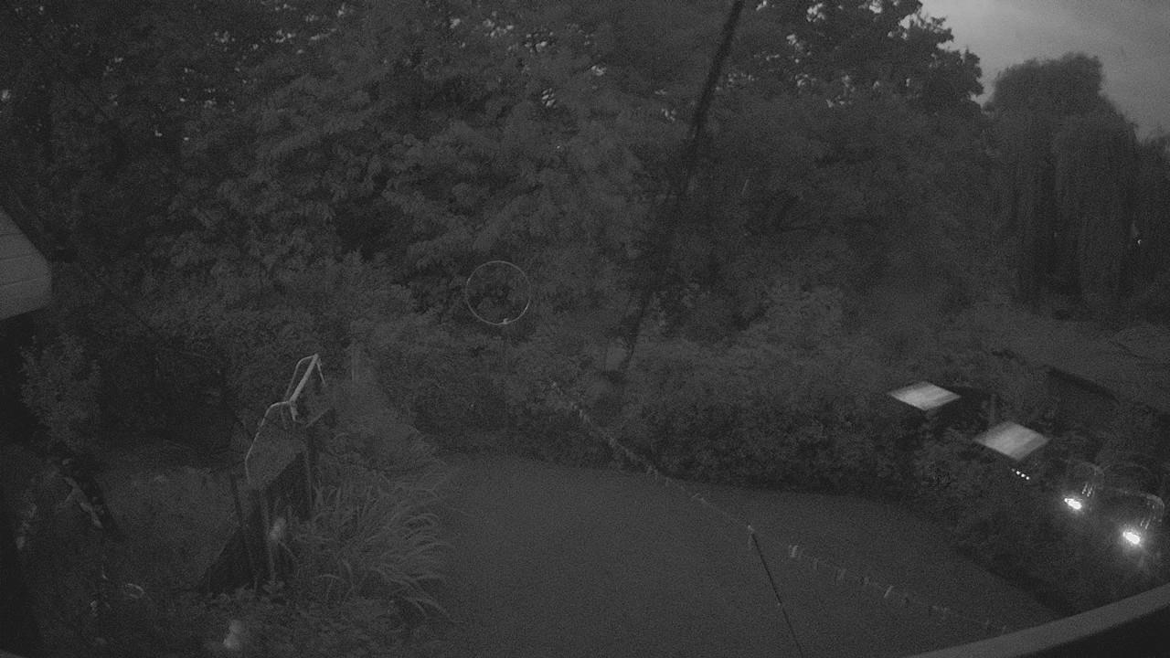 20260903_045101_cam1.jpg