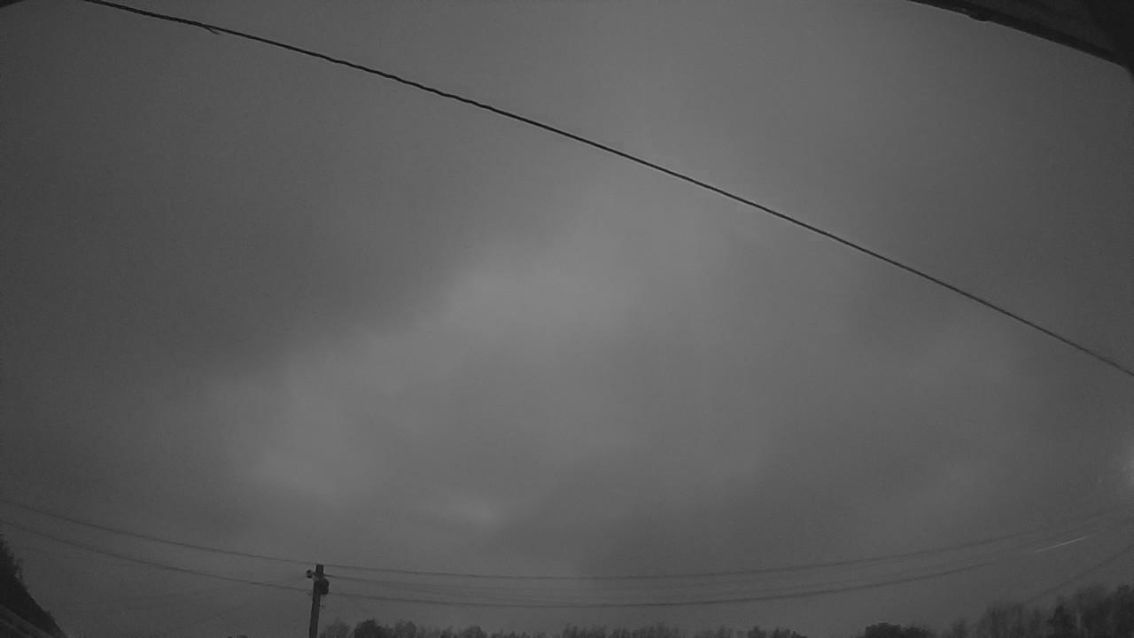 20260903_045102_cam2.jpg