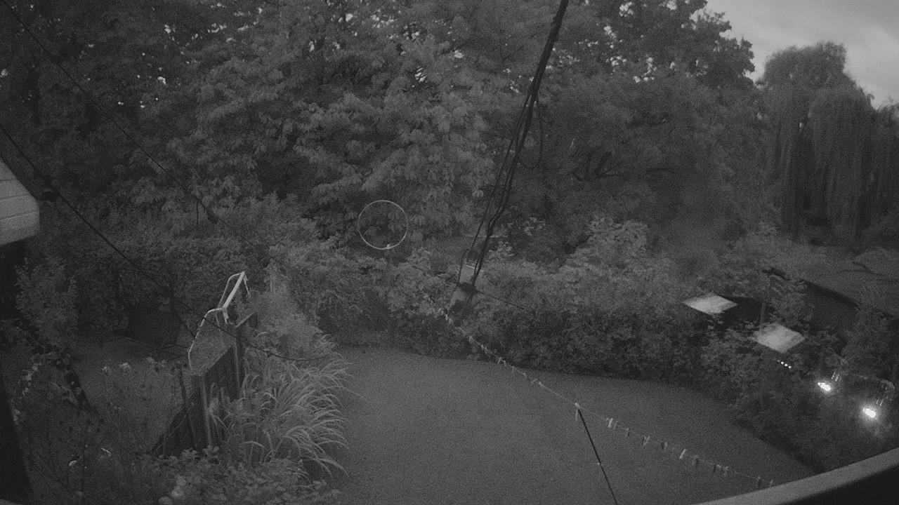 20260903_045452_cam1.jpg