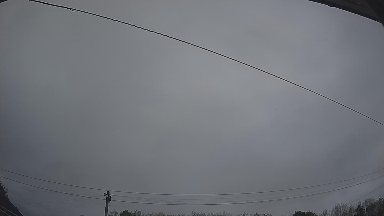 20260903_050309_cam2.jpg