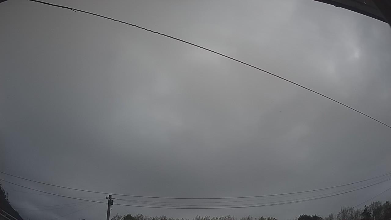 20260903_050719_cam2.jpg