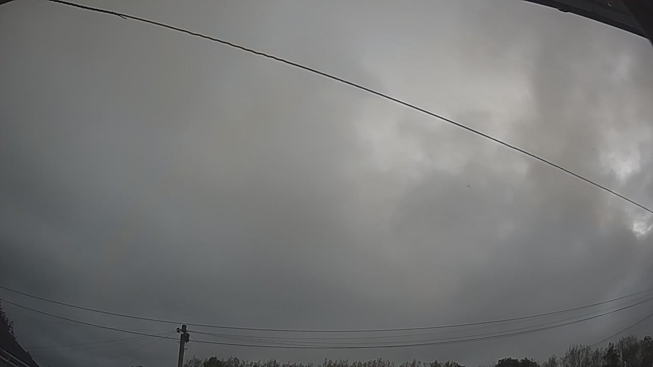 20260903_051128_cam2.jpg