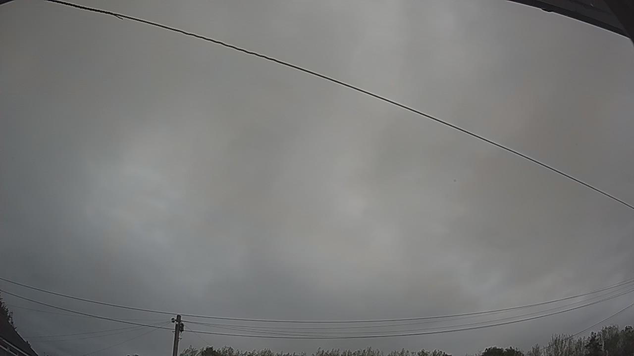 20260903_052804_cam2.jpg