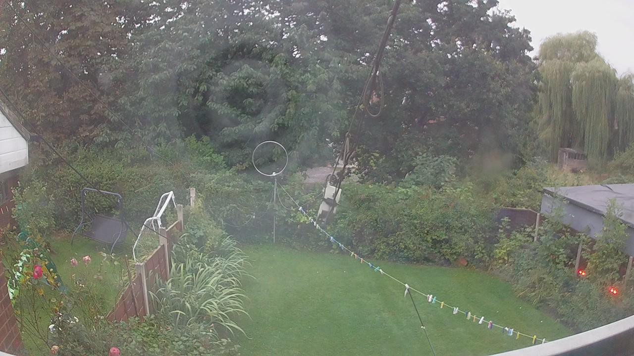 20260903_053145_cam1.jpg