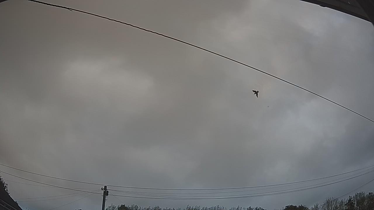 20260903_055016_cam2.jpg