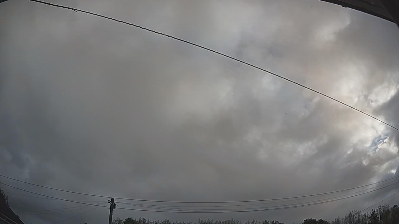 20260903_063005_cam2.jpg