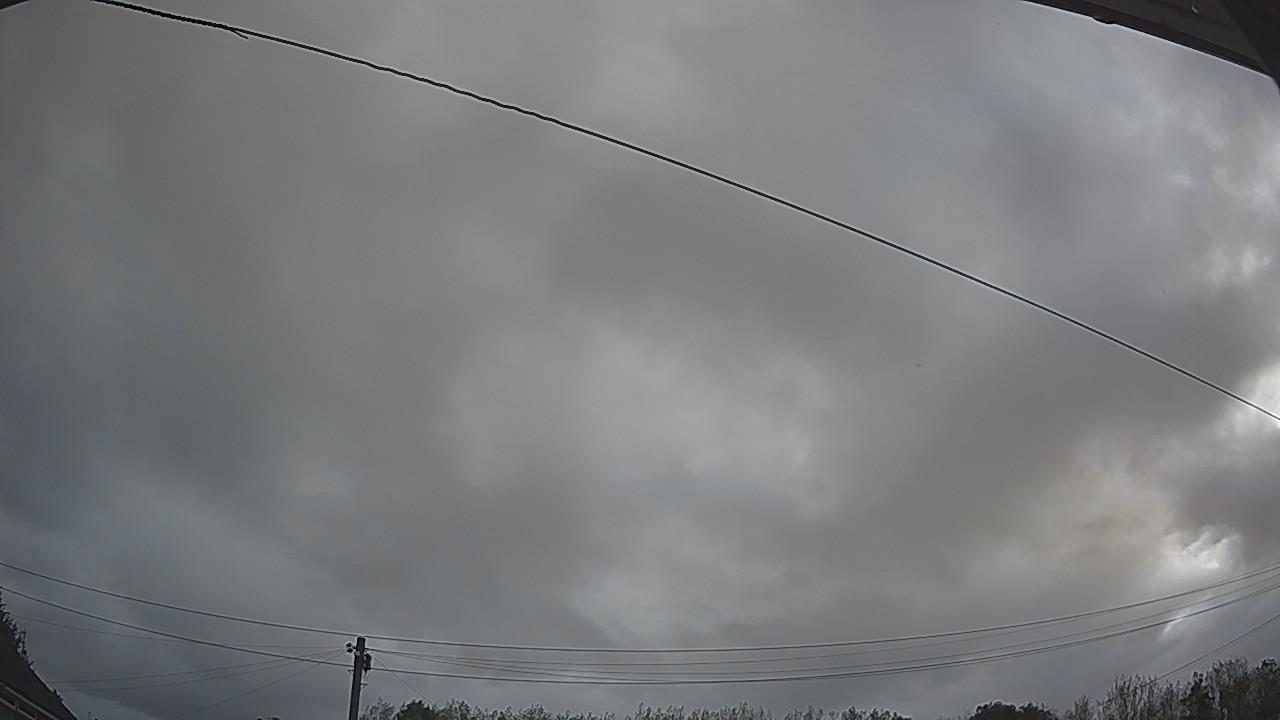 20260903_063431_cam2.jpg