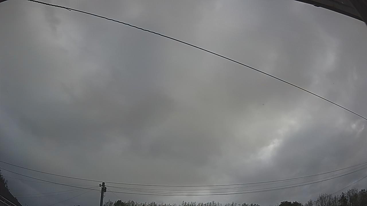 20260903_063858_cam2.jpg