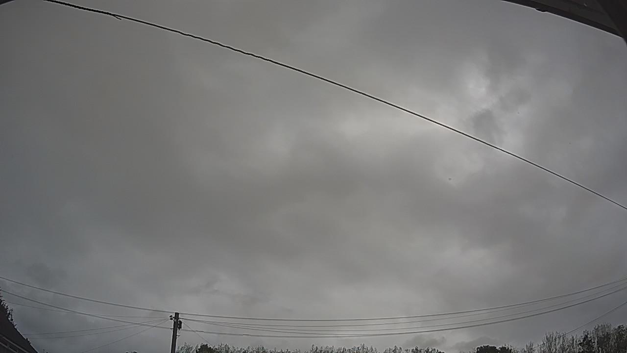 20260903_073810_cam2.jpg
