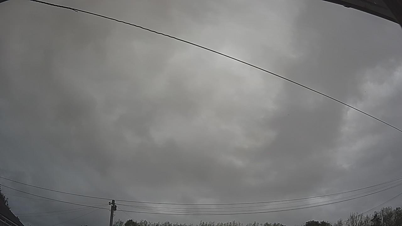 20260903_075556_cam2.jpg