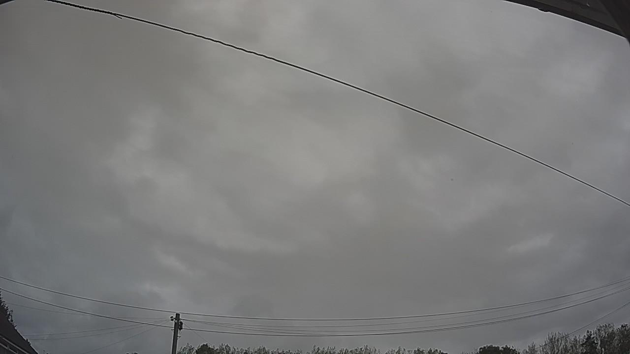 20260903_075938_cam2.jpg