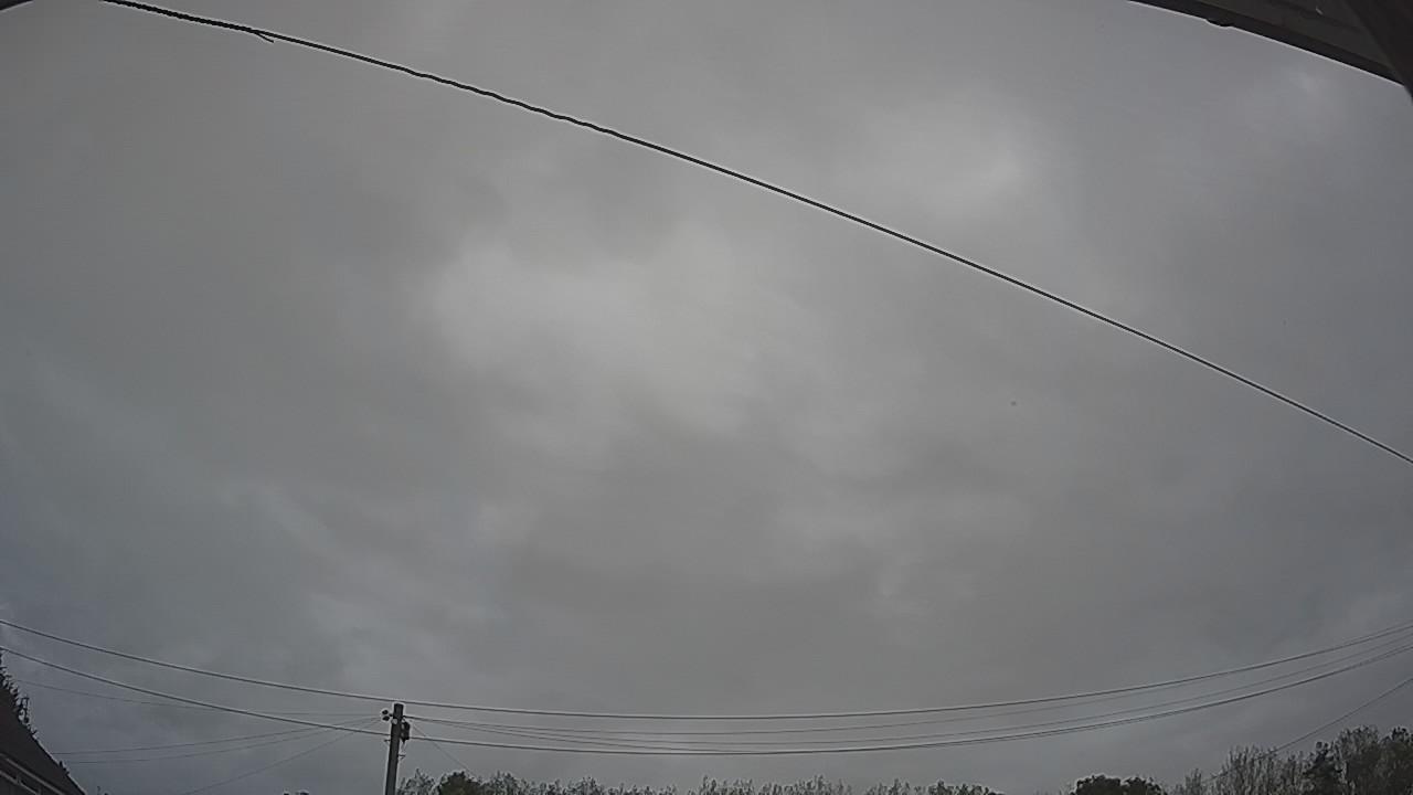 20260903_080702_cam2.jpg