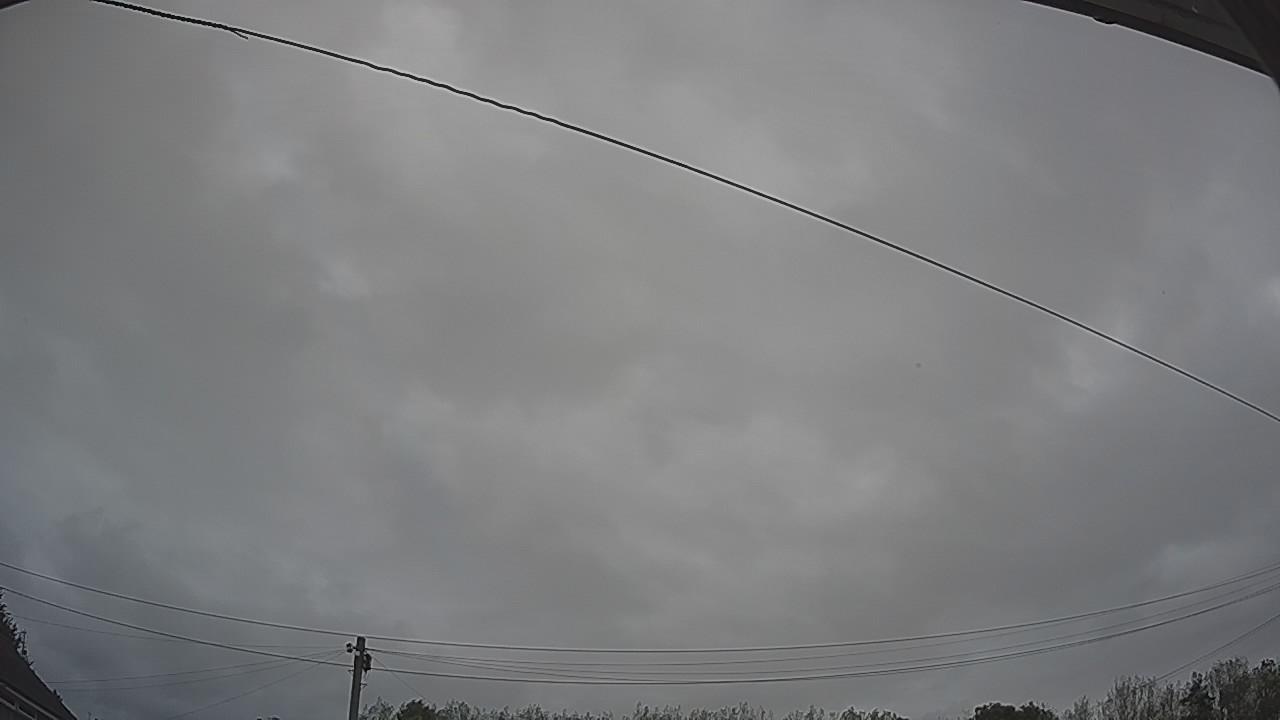 20260903_081044_cam2.jpg