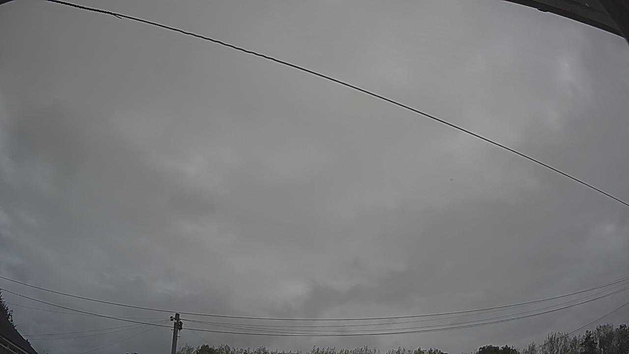 20260903_081426_cam2.jpg