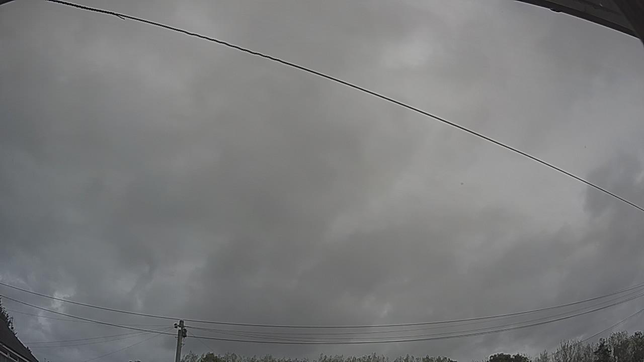 20260903_082905_cam2.jpg