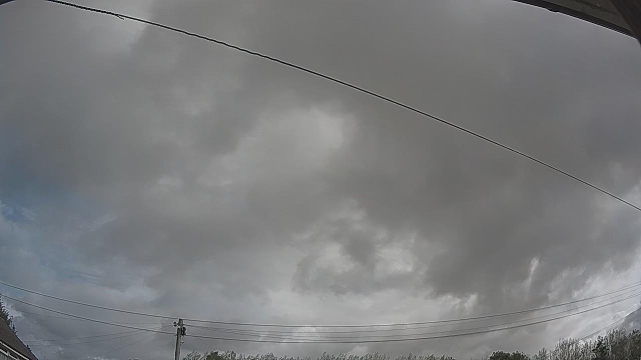 20260903_091104_cam2.jpg