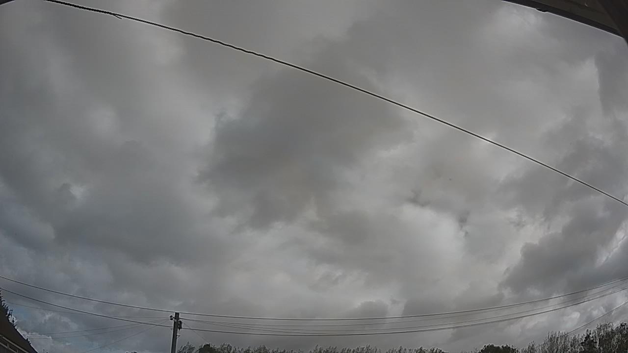 20260903_094418_cam2.jpg