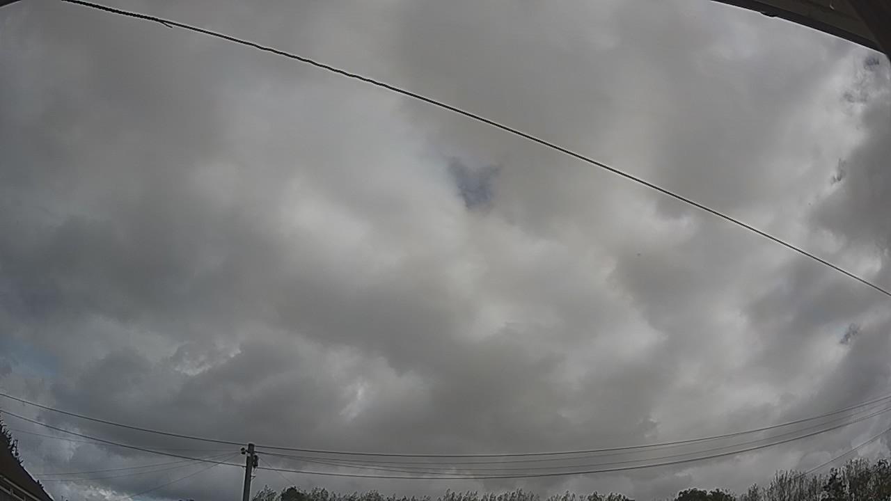 20260903_094733_cam2.jpg