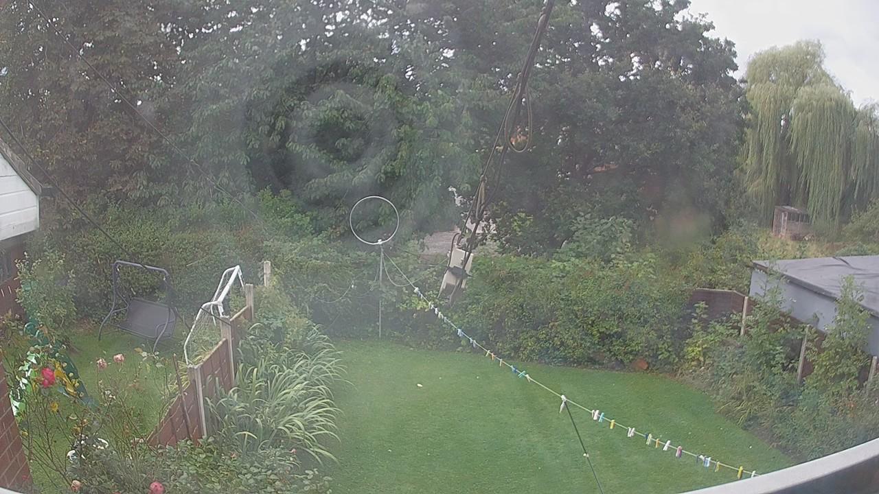 20260903_100030_cam1.jpg