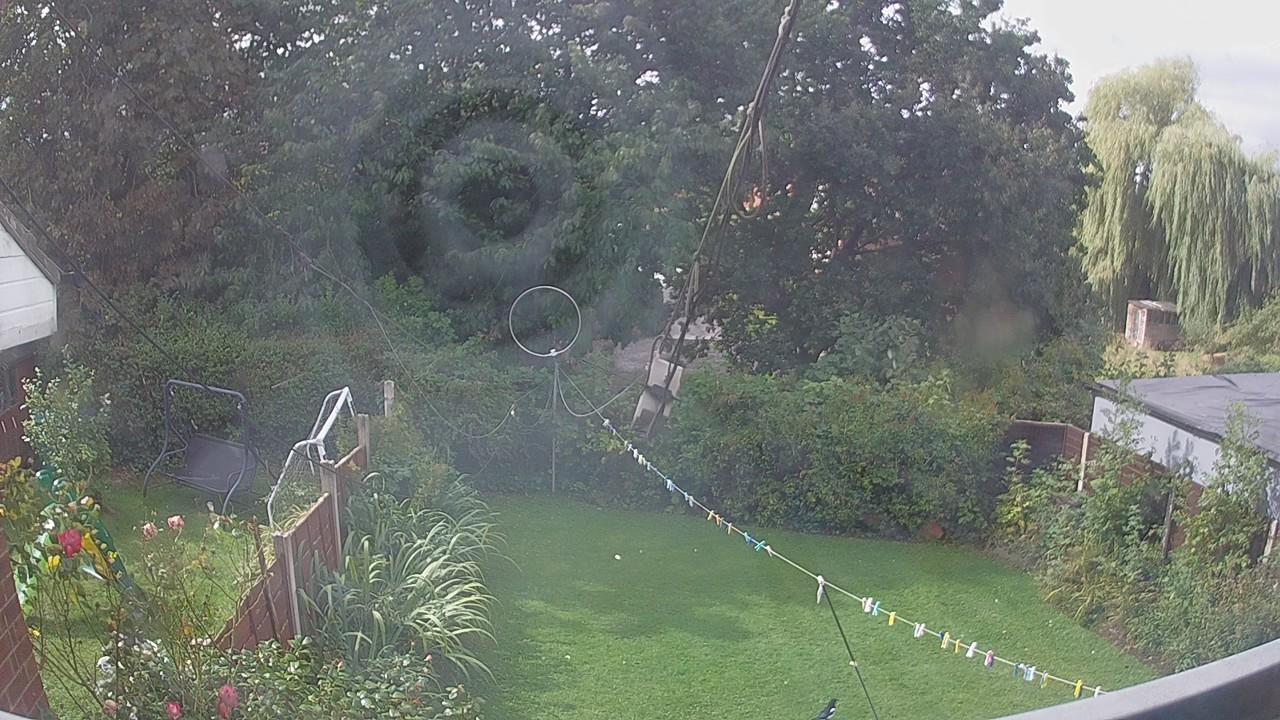 20260903_101332_cam1.jpg