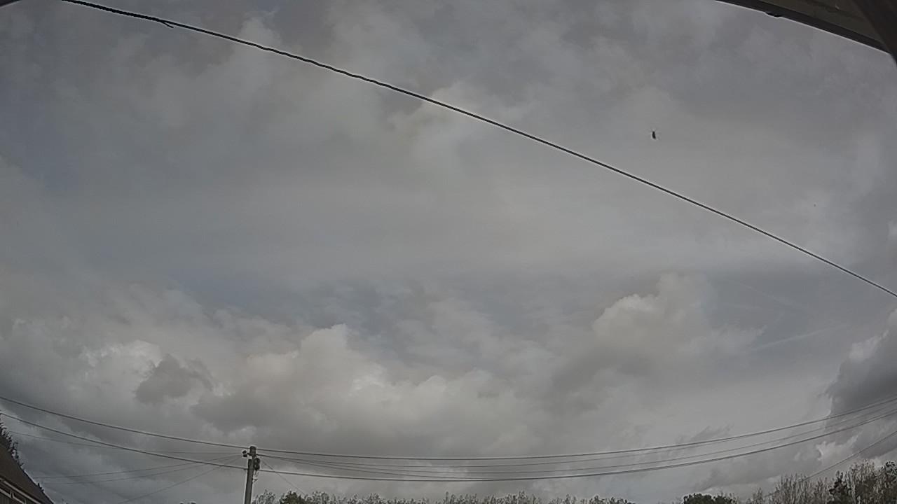 20260903_113046_cam2.jpg