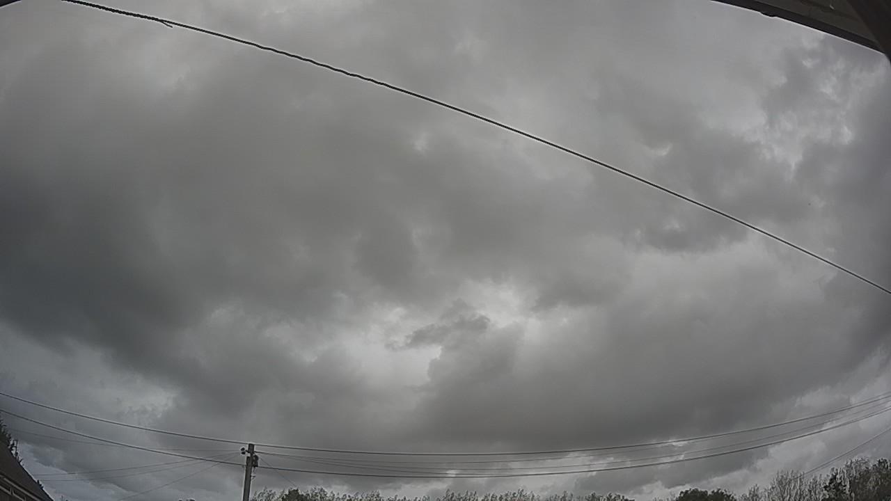 20260903_122024_cam2.jpg