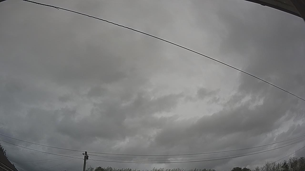 20260903_123116_cam2.jpg