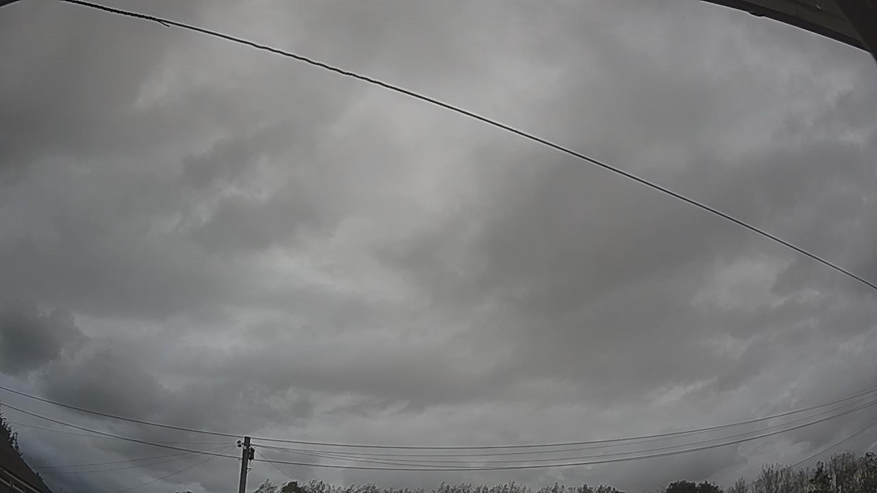 20260903_123709_cam2.jpg
