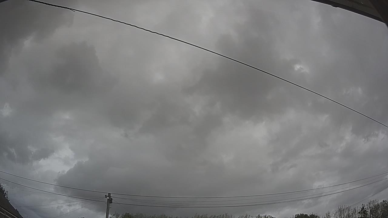 20260903_124302_cam2.jpg