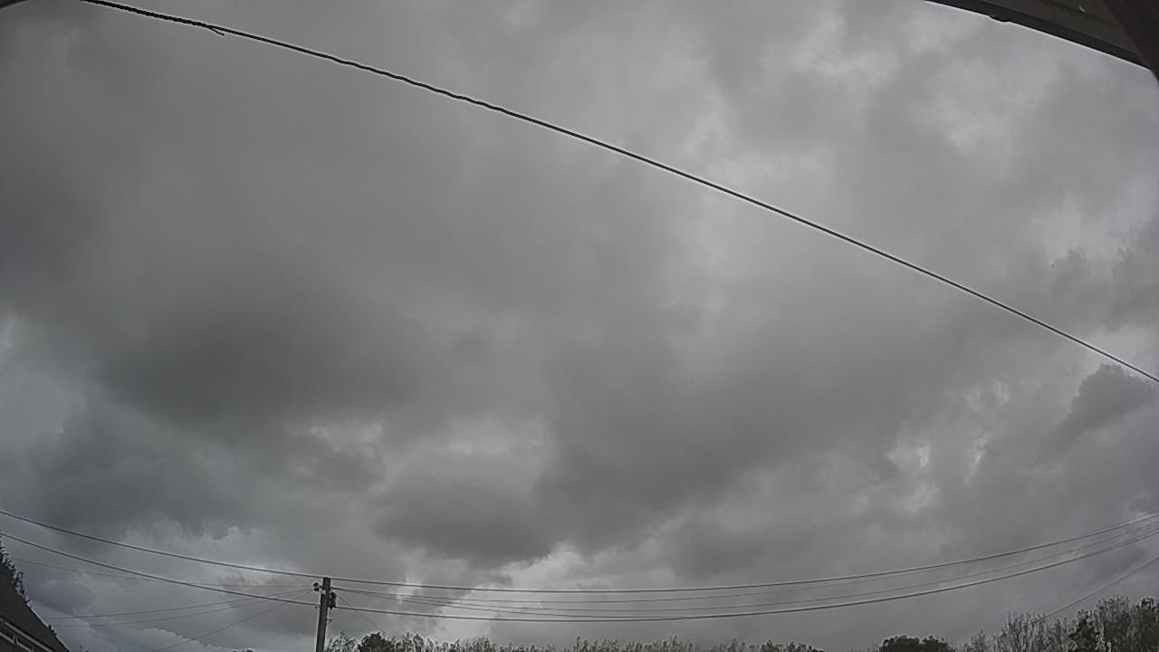 20260903_124600_cam2.jpg