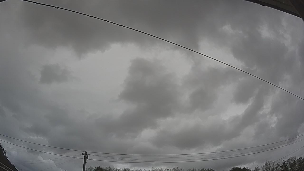 20260903_125155_cam2.jpg