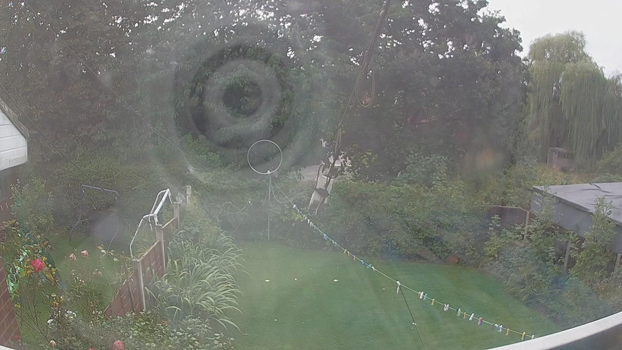 20260903_133952_cam1.jpg