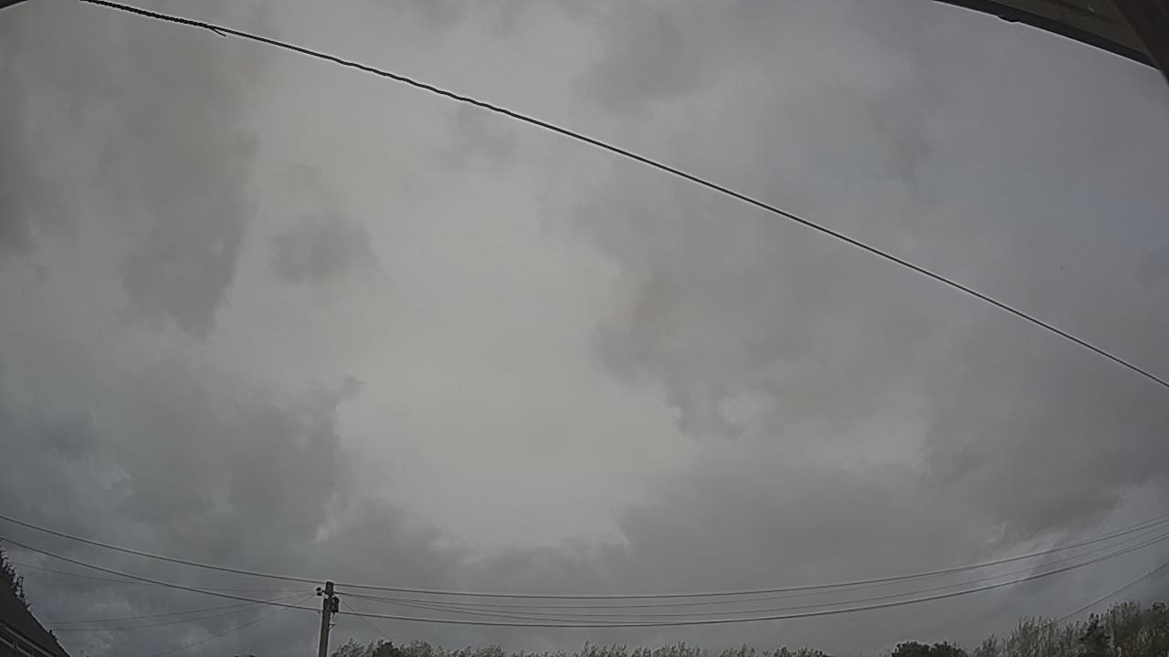20260903_141009_cam2.jpg