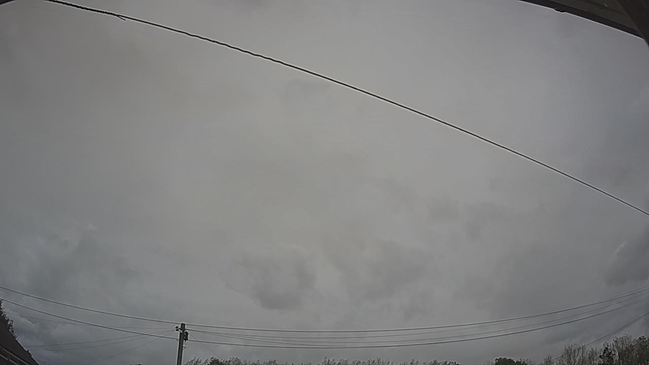 20260903_141305_cam2.jpg