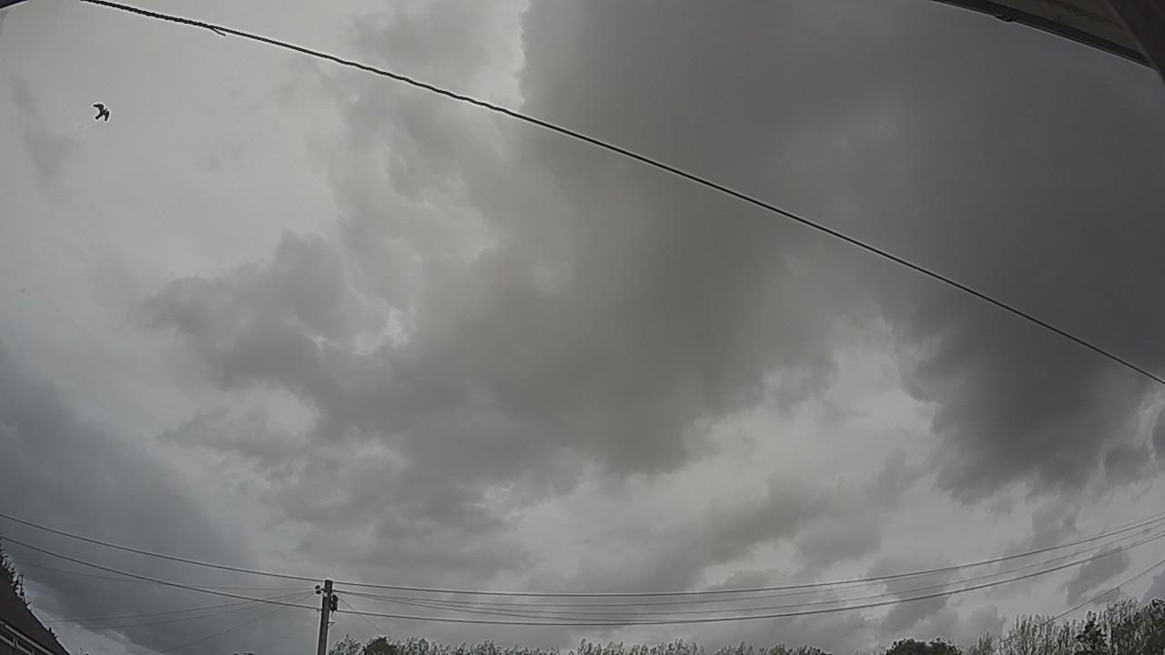 20260903_155346_cam2.jpg