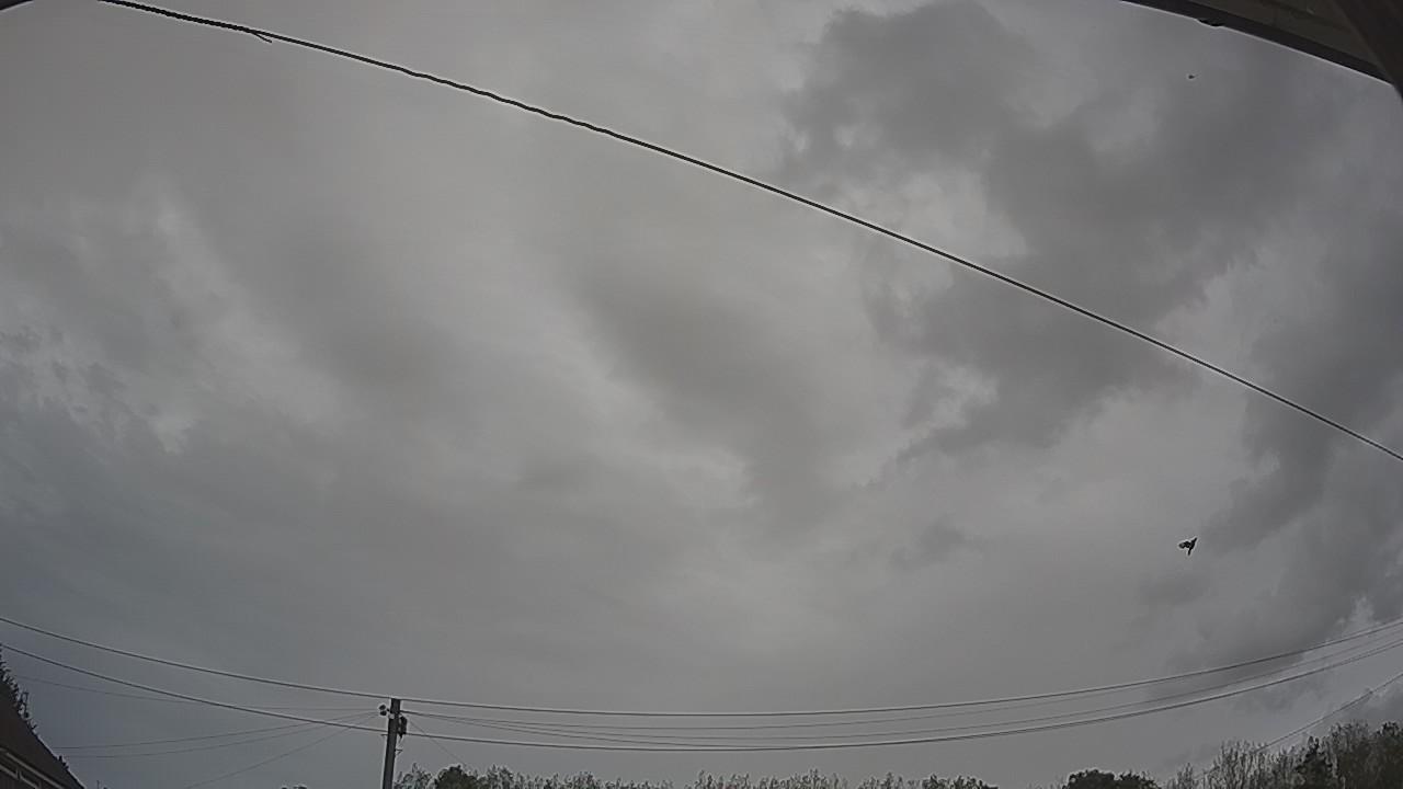 20260903_163623_cam2.jpg
